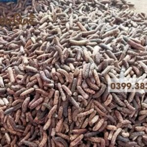 Hình ảnh chuối hột rừng ngâm rượu truyền thống