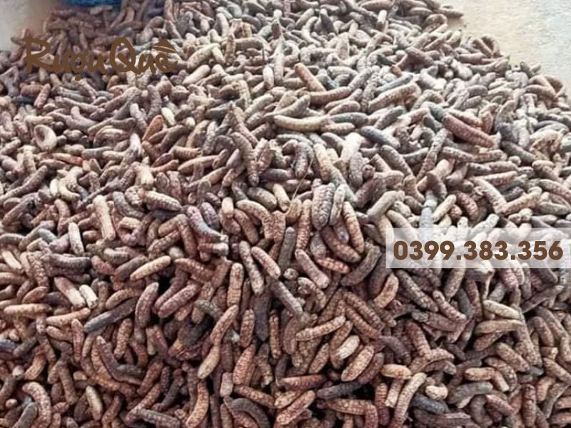 Hình ảnh chuối hột rừng ngâm rượu truyền thống