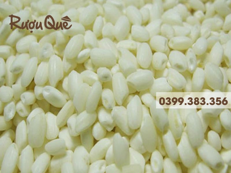 Hình ảnh gạo nếp nấu rượu nếp