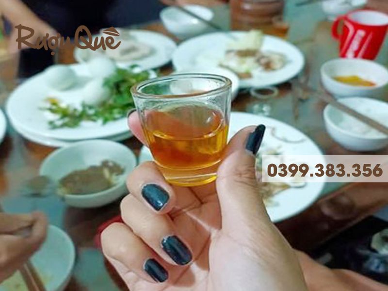 Mua sỉ rượu chuối hột rừng tại Hà Nội
