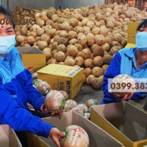 Hinh anh mua ruou dua o ha noi