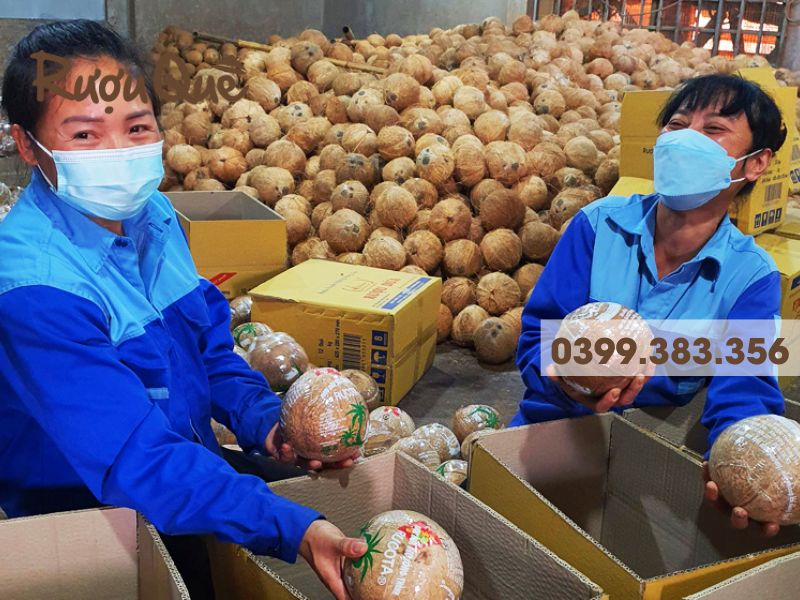 Hinh anh mua ruou dua o ha noi