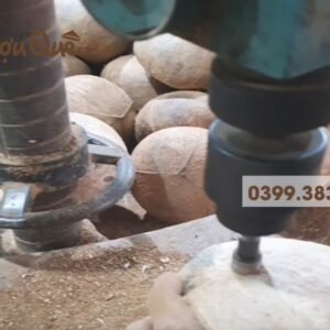 Khoan rượu dừa mua rượu dừa ở đâu