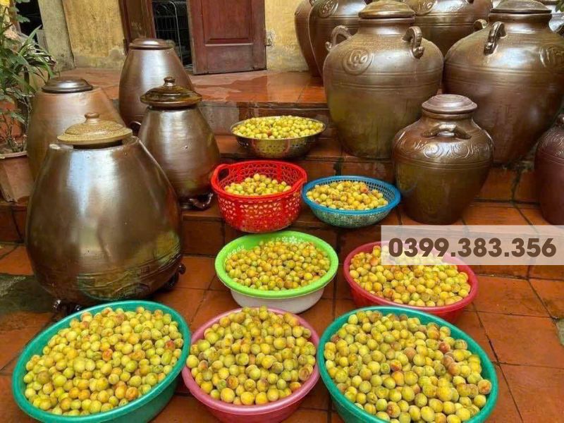 Hình ảnh mua rượu mận, rượu mơ ngâm truyền thống tại Hà Nội