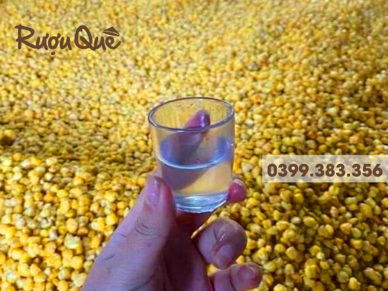 Hình ảnh mua Rượu ngô men lá Quản Bạ Hà Giang