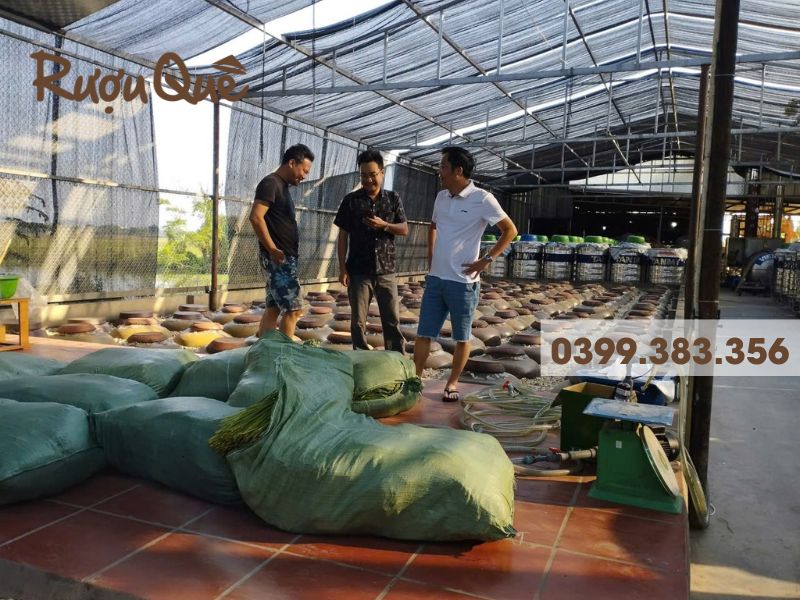 Hình ảnh mua rượu quê rượu ngâm truyền thống tại Hà Nội