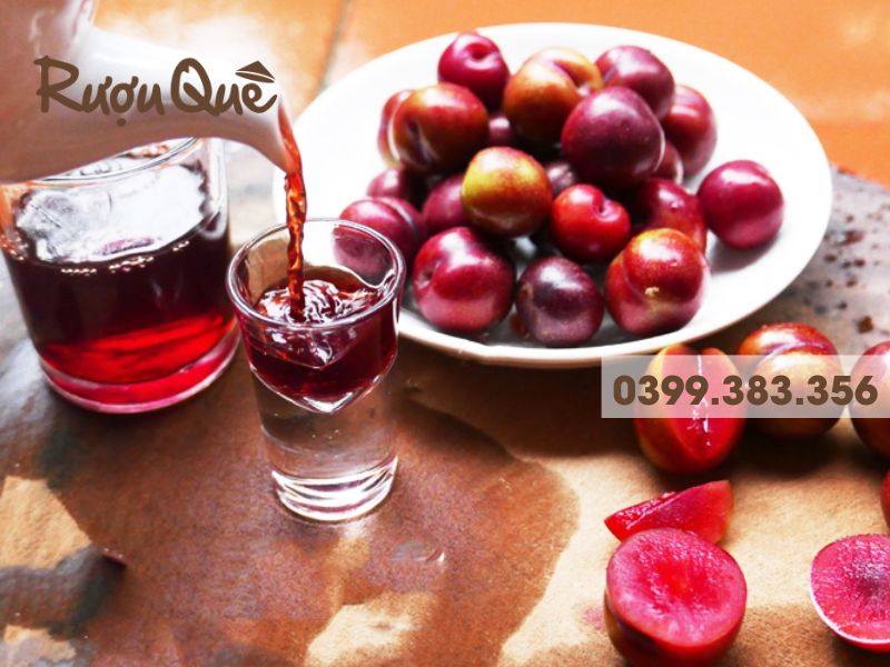 Hình ảnh rượu mận đỏ sapa ủ chum 12 tháng