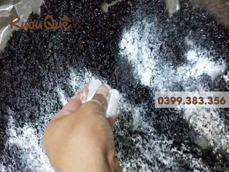 Hình ảnh vào men rượu nếp cẩm truyền thống