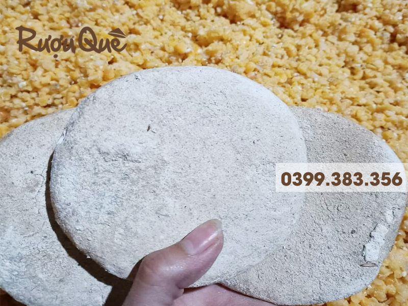 Hình ảnh bánh men ủ từ lá thảo dược rừng nấu rượu