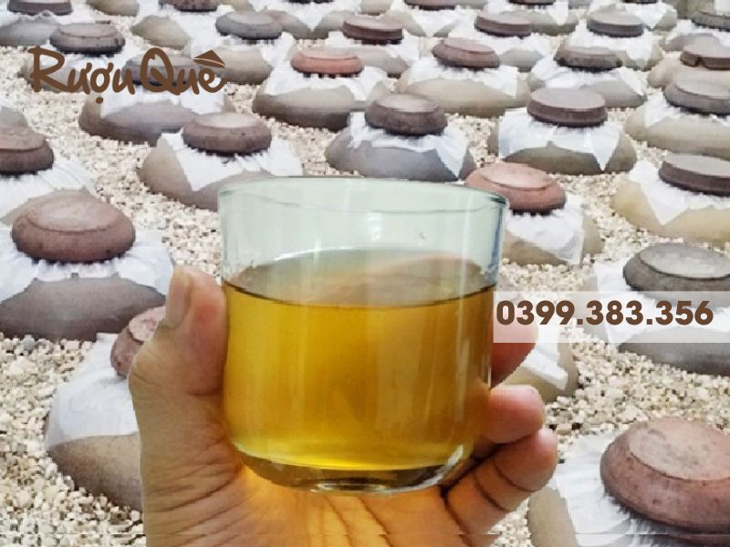 Hình ảnh mua rượu nếp cái hoa vàng ủ chum hạ thổ rượu quê
