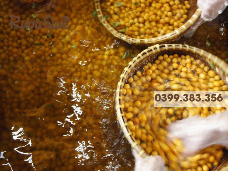 Công dung của rượu mơ đối với sức khỏe