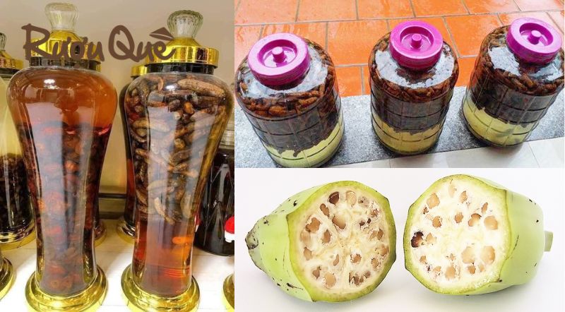 Địa chỉ mua rượu chuối hột uy tín