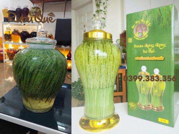 Địa chỉ mua rượu đòng đòng hạ thổ làm quà biếu