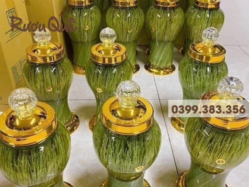 Địa chỉ mua rượu đòng đòng hạ thổ Hình ảnh Địa chỉ mua rượu đòng đòng hạ thổ ở đâu