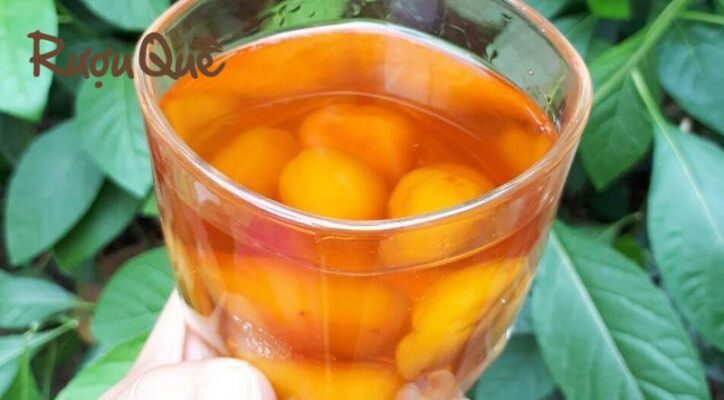 Hình ảnh địa chỉ mua rượu mơ má đào ở đâu uy tín