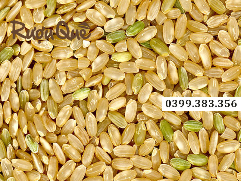 Địa chỉ mua rượu nếp cái hoa vàng chuẩn vị