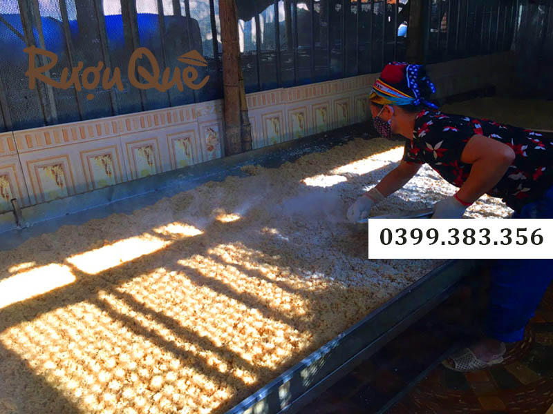 Địa chỉ mua rượu nếp cái hoa vàng tại Hà Nội
