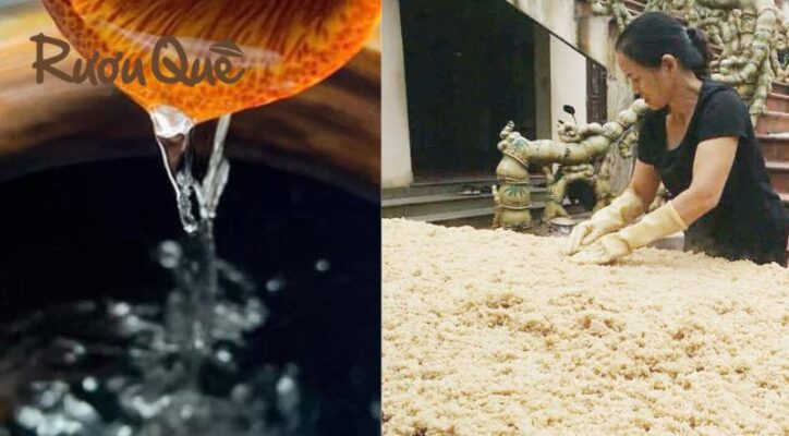 Hình ảnh Địa chỉ mua rượu nếp nhung an toàn số 1