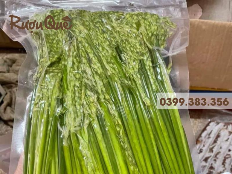 Hình ảnh lúa nếp non đòng đòng làm rượu quê