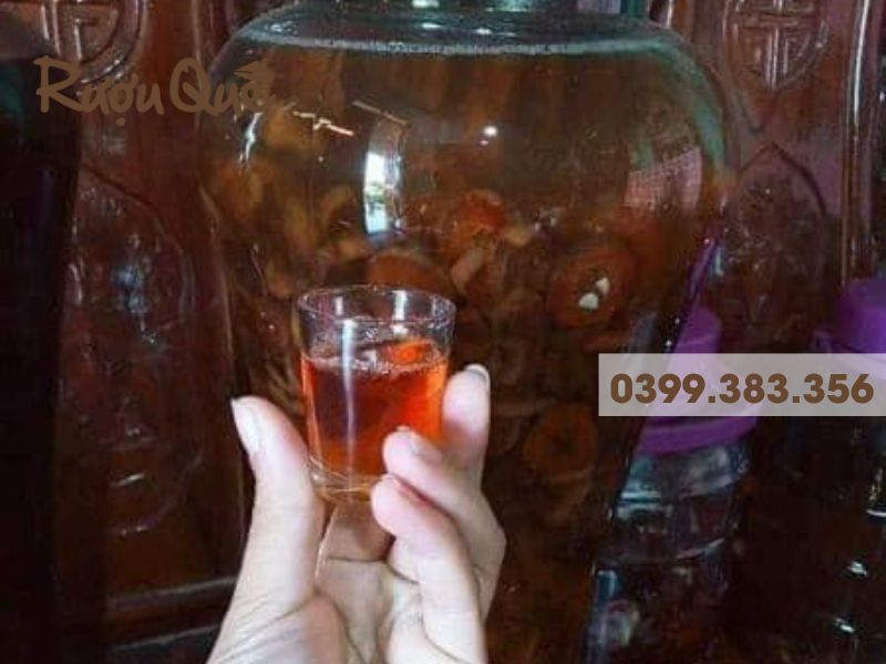 Rượu táo mèo Tây Bắc mua ở đâu uy tín chất lượng