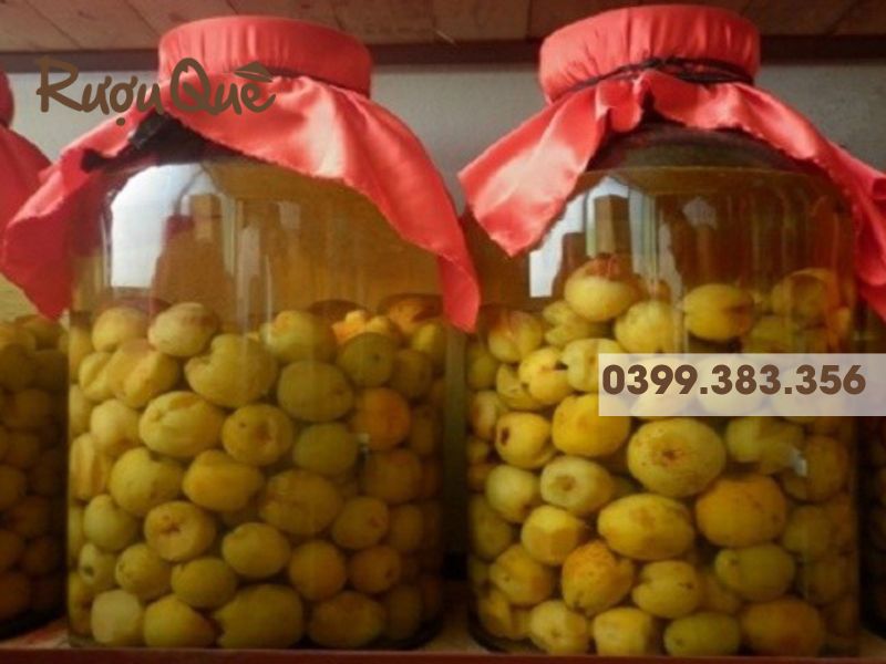 Hình ảnh ngâm rượu táo mèo trong bao lâu