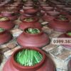 Hình ảnh ngâm ủ rượu đòng đòng hạ thổ