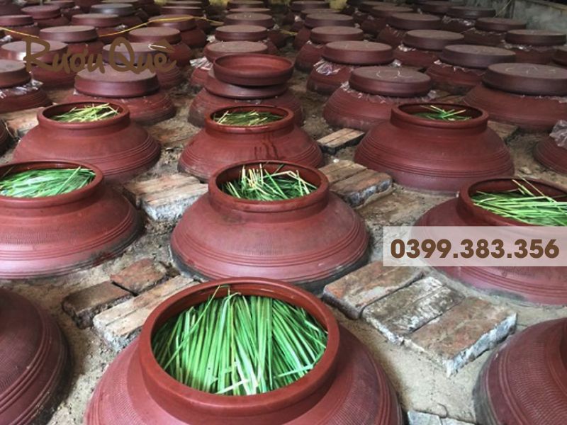 Hình ảnh ngâm ủ rượu đòng đòng hạ thổ