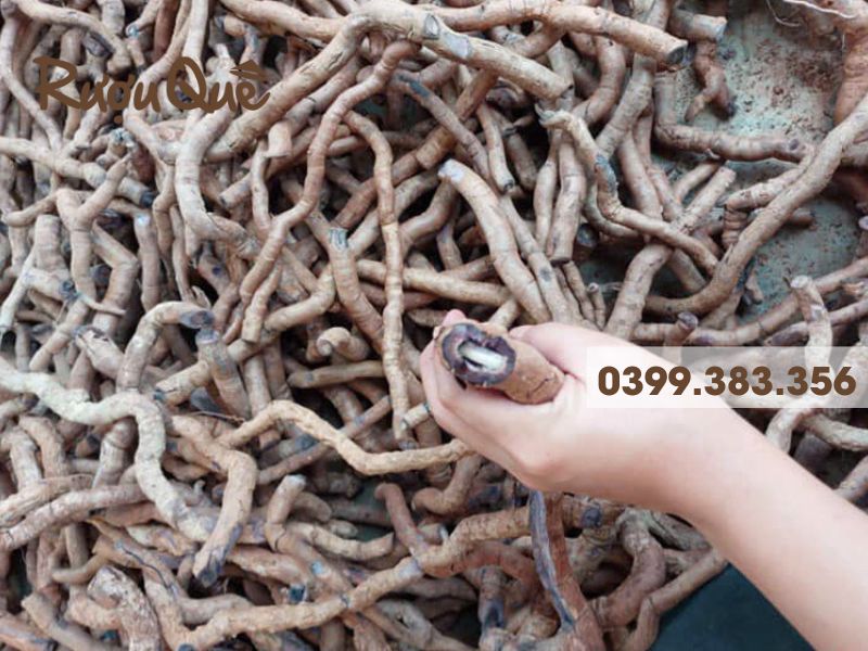 Hình ảnh nguyên liệu ngâm rượu rễ ba kích