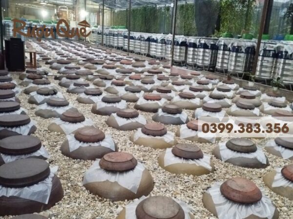 Hình ảnh phương pháp ngâm ủ rượu hạ thổ truyền thống