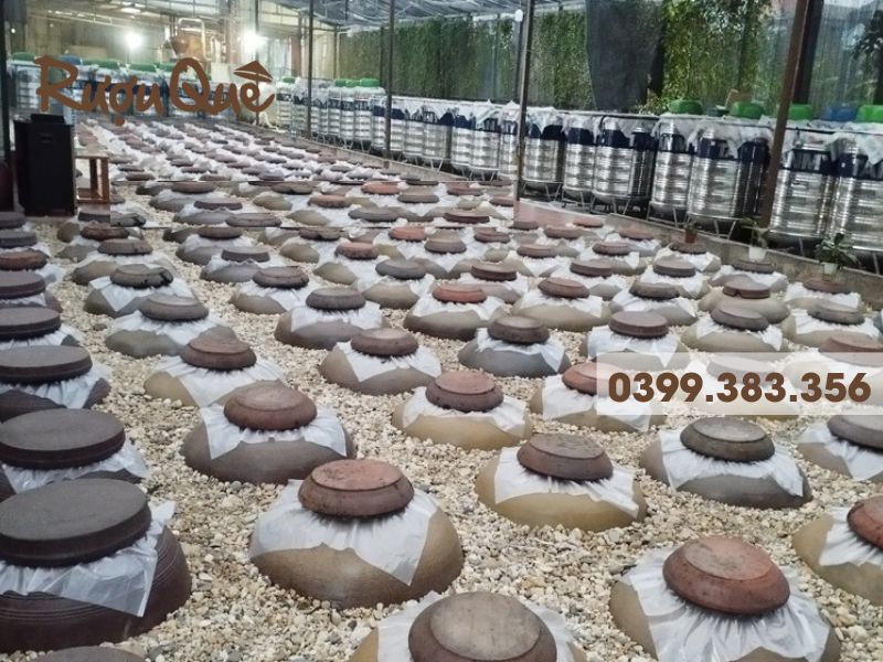 Hình ảnh phương pháp ngâm ủ rượu hạ thổ truyền thống