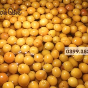 Quả mơ má đào là quả gì