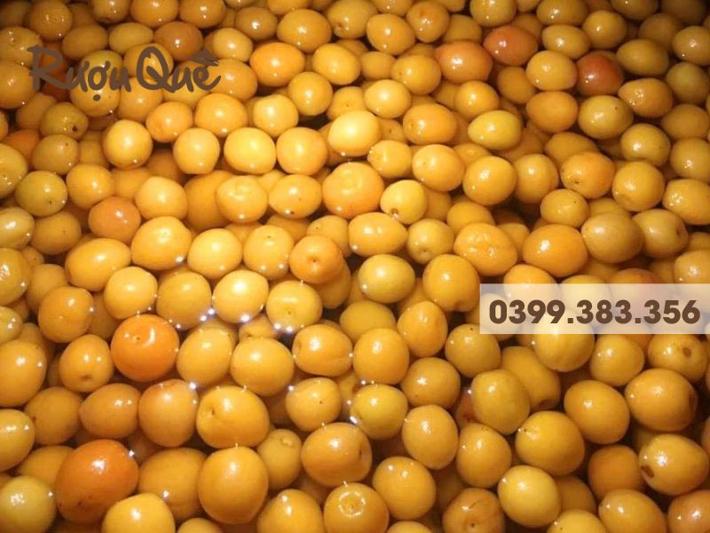 Quả mơ má đào là quả gì