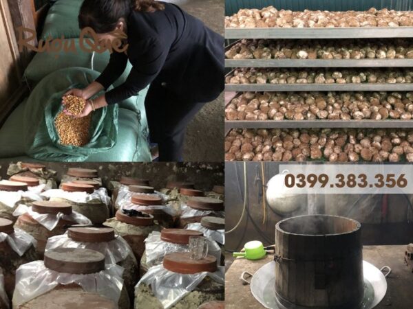 Hình ảnh quy trình chưng cất rượu ngô men lá