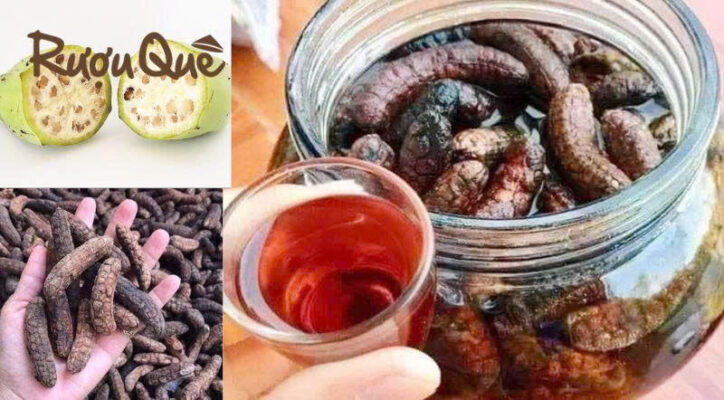 Hình ảnh rượu chuối hột ngâm chung với gì tốt cho sức khỏe