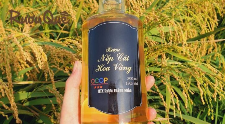 Hình ảnh rượu nếp cái hoa vàng mua ở đâu ngon nhất