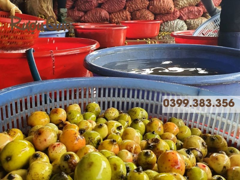 Hình ảnh rượu táo mèo đặc sản ở đâu ngon nhất