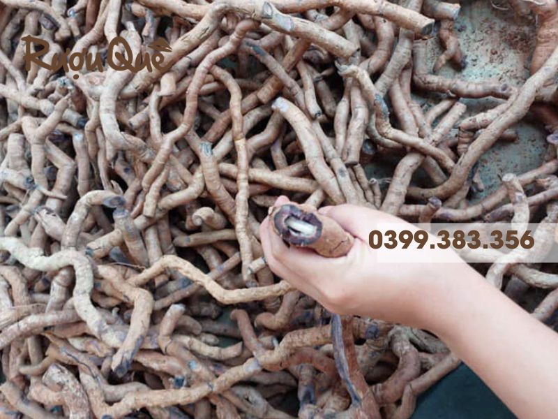 Thành phần dược tính có trong ba kích