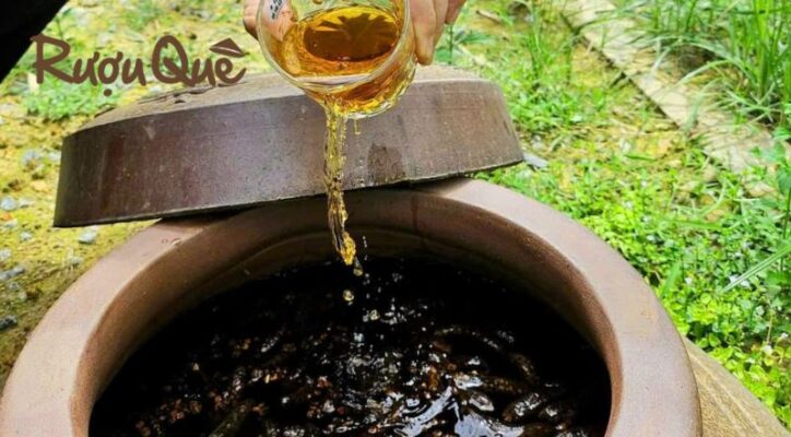 Hình ảnh tìm hiểu rượu chuối hột có tác dụng gì, cách ngâm rượu chuối hột