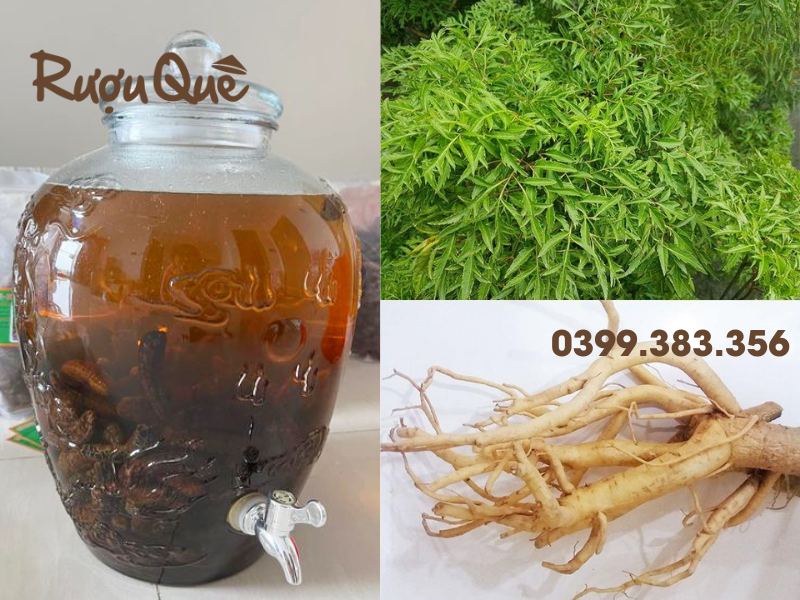 Hình ảnh cách ngâm rượu chuối hột chung với đinh lăng