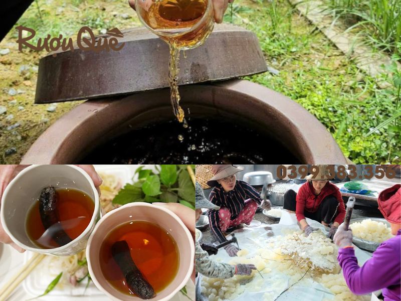 Hình ảnh cách ngâm rượu chuối hột chung với đường phèn