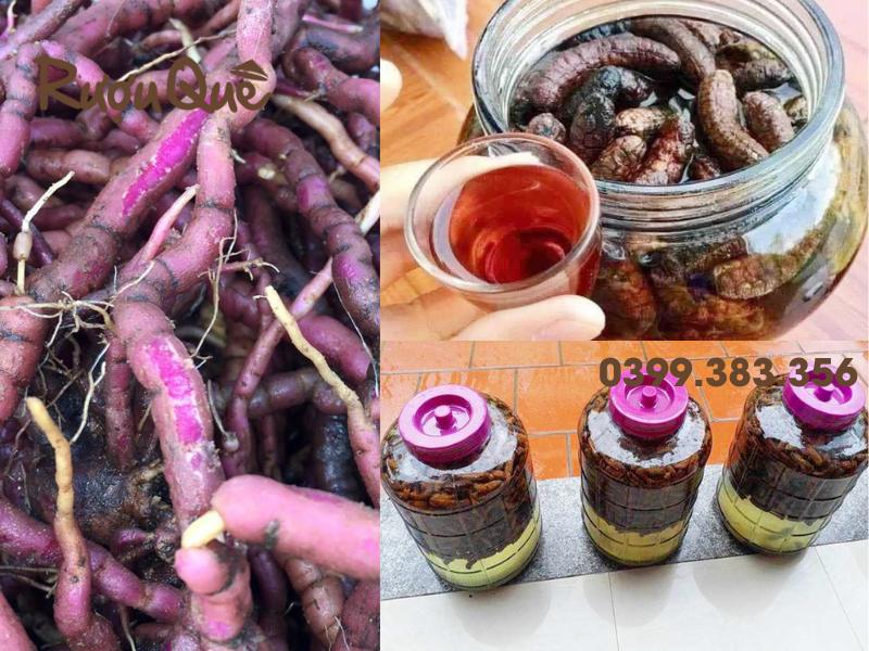 Hình ảnh hướng dẫn cách ngâm rượu chuối hột chung với rễ ba kích tím