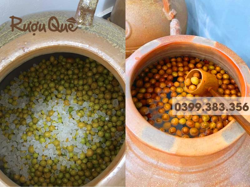 Hình ảnh cách ngâm rượu mơ truyền thống ủ chum