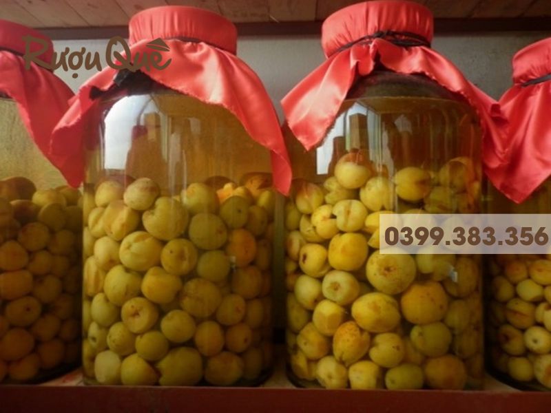 Cách ngâm rượu táo mèo