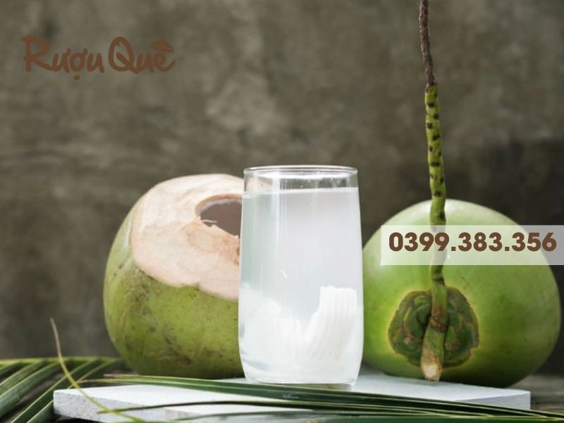 Chọn loại quả dừa phù hợp để làm rượu dừa