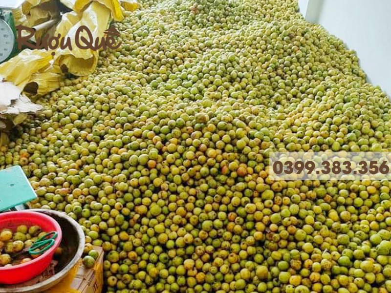 Hình ảnh công dụng của táo mèo là gì