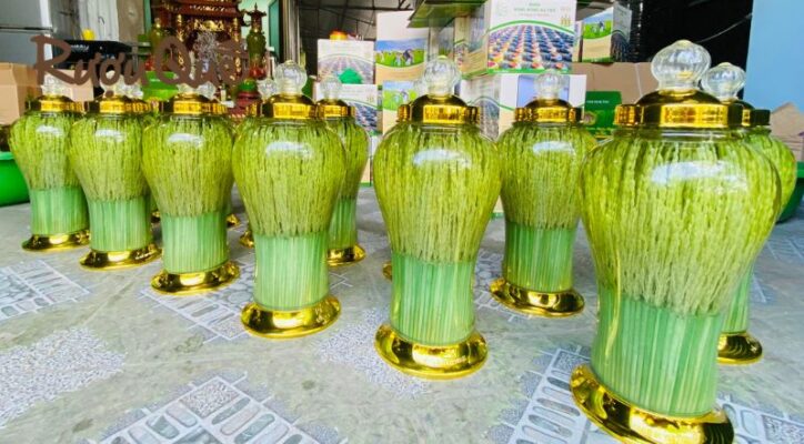 Hình ảnh địa chỉ bán sỉ rượu đòng đòng hạ thổ