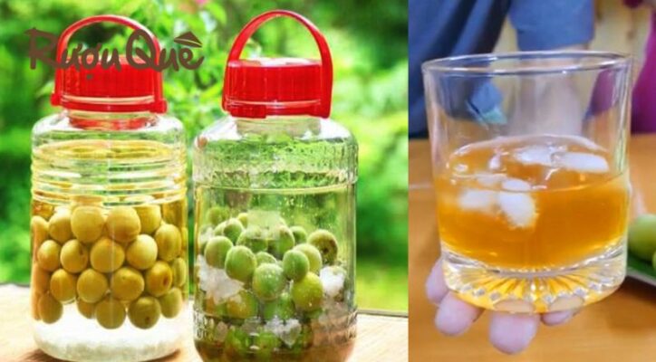 Hình ảnh địa chỉ bán sỉ rượu mơ tại Hà Nội tpHCM uy tín