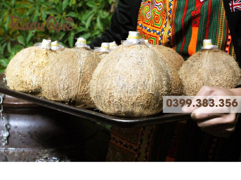 địa chỉ bán sỉ rượu dừa Mua sỉ rượu dừa - địa chỉ bán sỉ rượu dừa