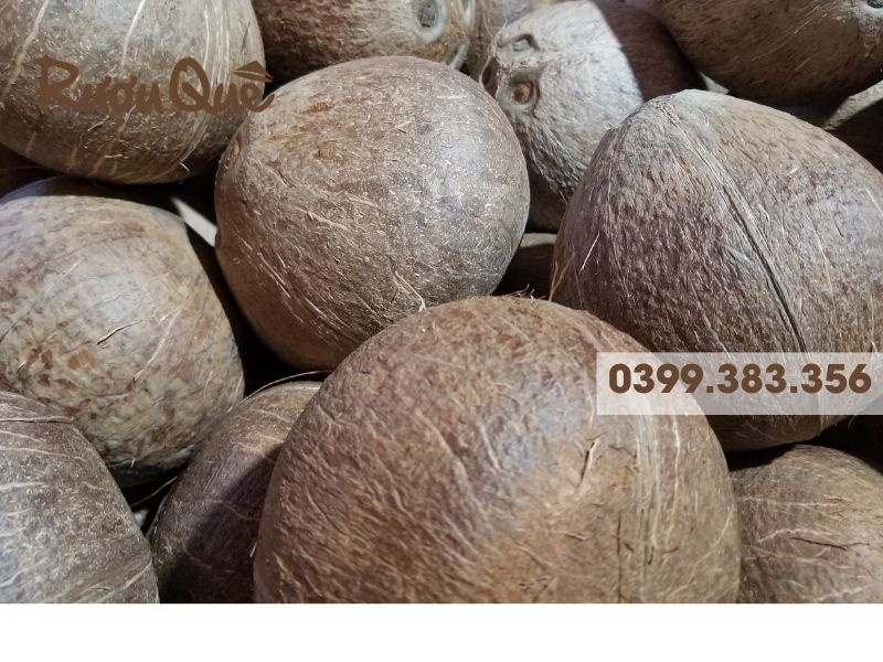 Mua sỉ rượu dừa ở đâu chất lượng
