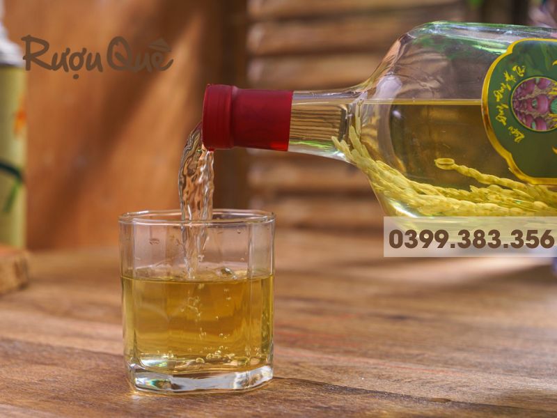 Hình ảnh đòng đòng ngâm rượu có tác dụng gì
